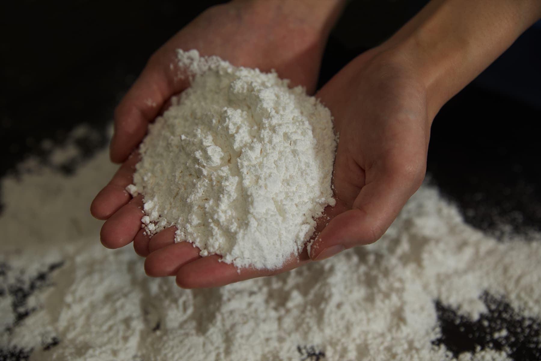 BIOSSA gluten-free rice flour bread