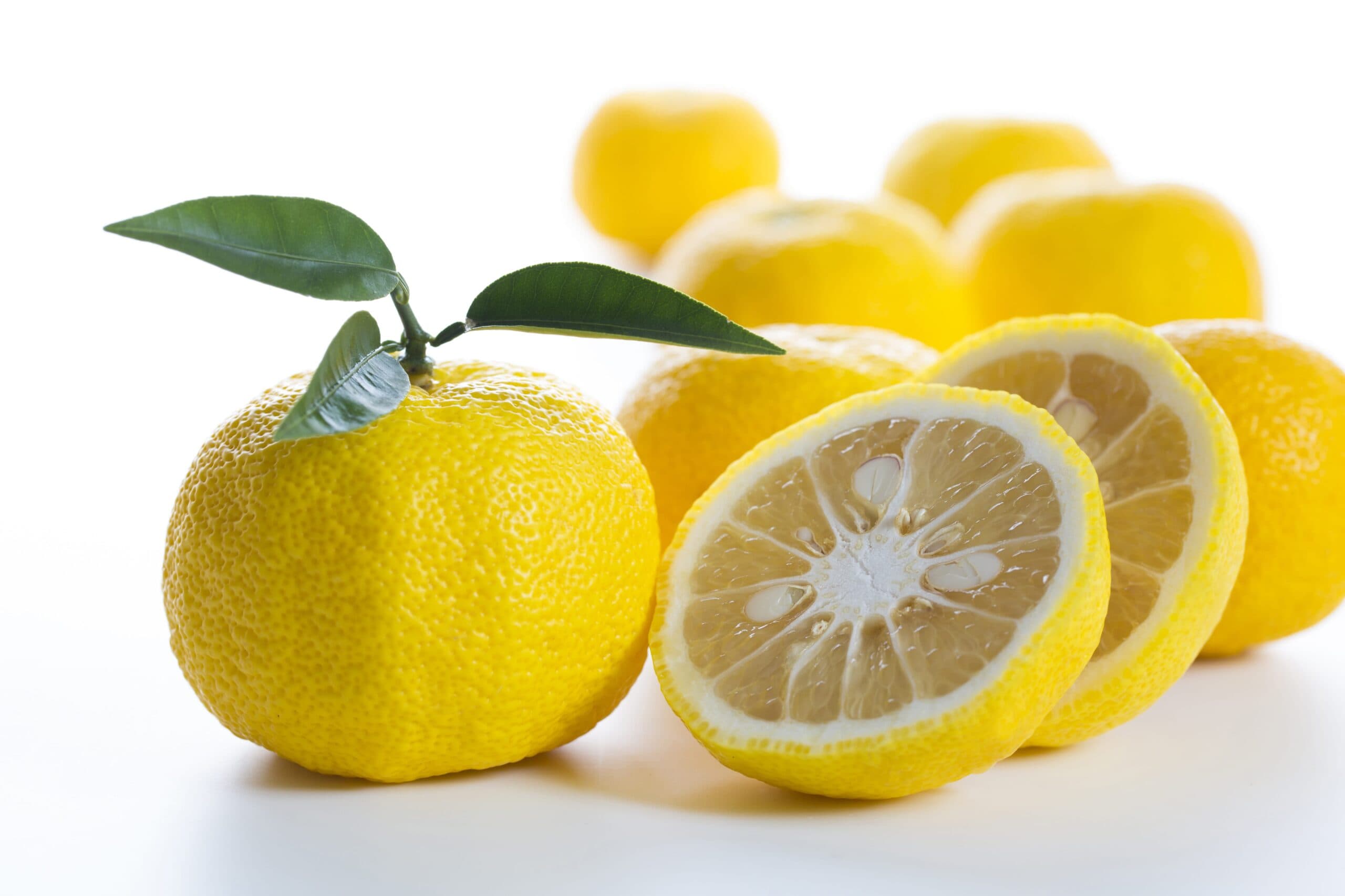 Yuzu Seed Extract visual