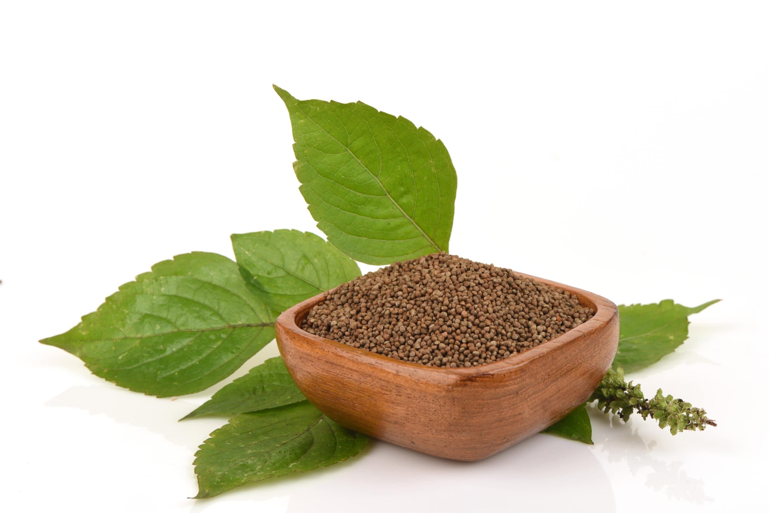 Perilla Seed Extract visual