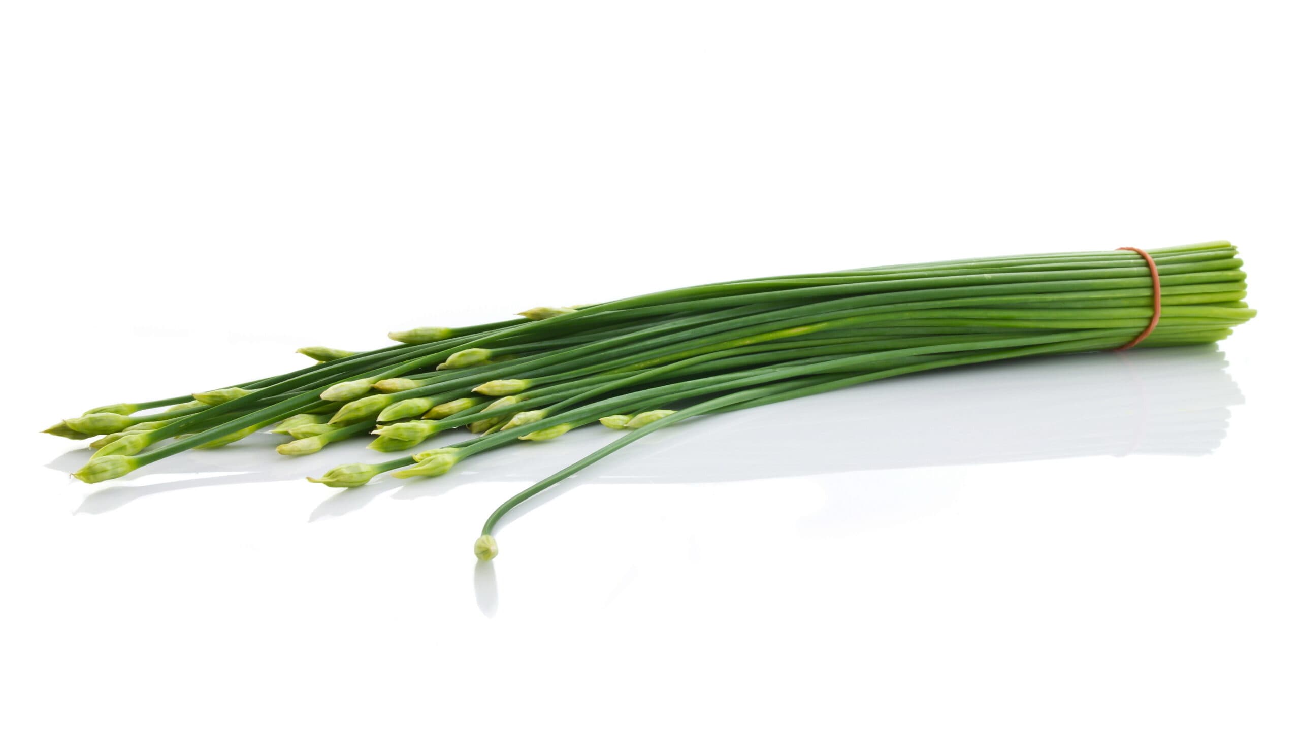 Nira Seed Extract visual