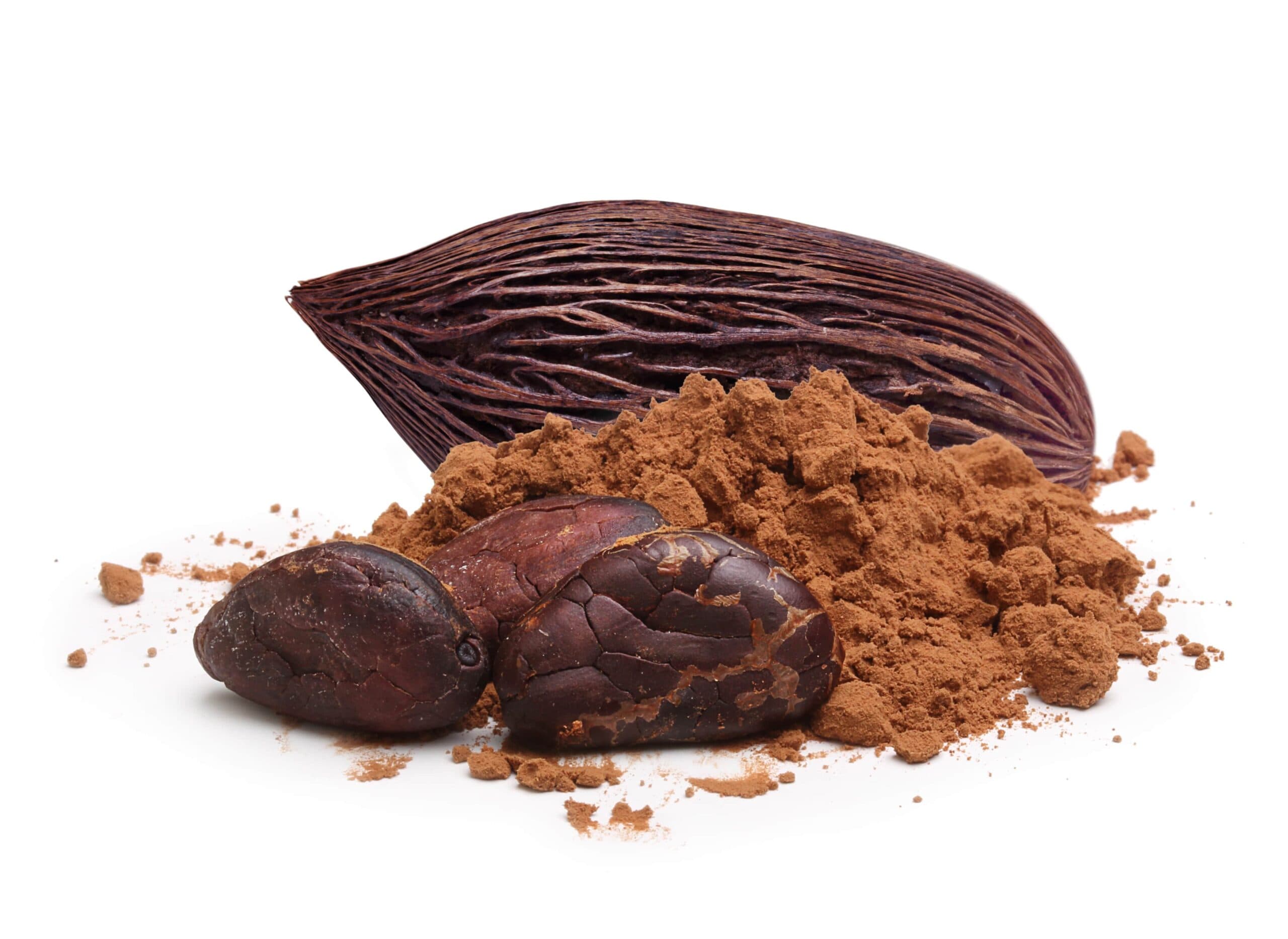 Cacao Extract visual