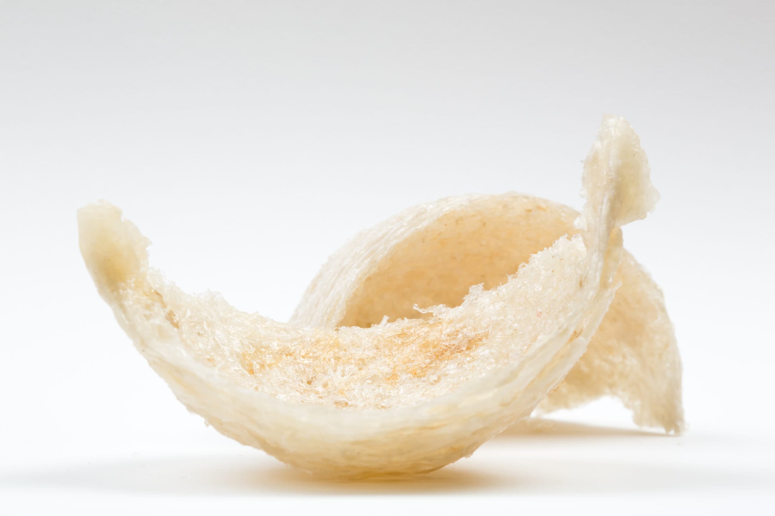 Bird's Nest Extract visual
