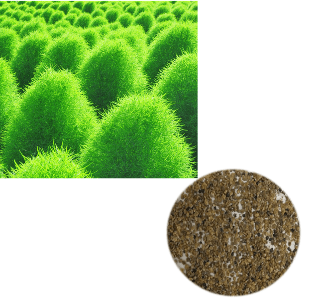 Mountain Caviar Extract visual